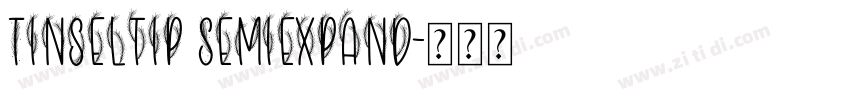 Tinseltip Semiexpand字体转换